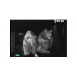 FLIR Systems Scout III 640 Thermal Night Vision Monocular